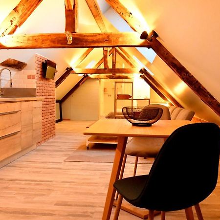 Loft Sous Les Combles - Loft Under The Rafter Apartman Rodez Kültér fotó