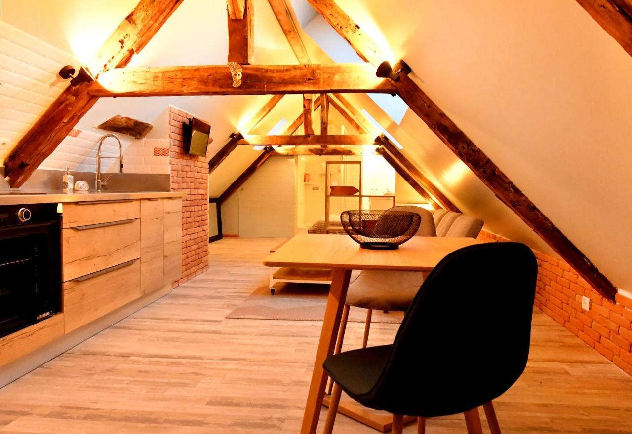 Loft Sous Les Combles - Loft Under The Rafter Apartman Rodez Kültér fotó